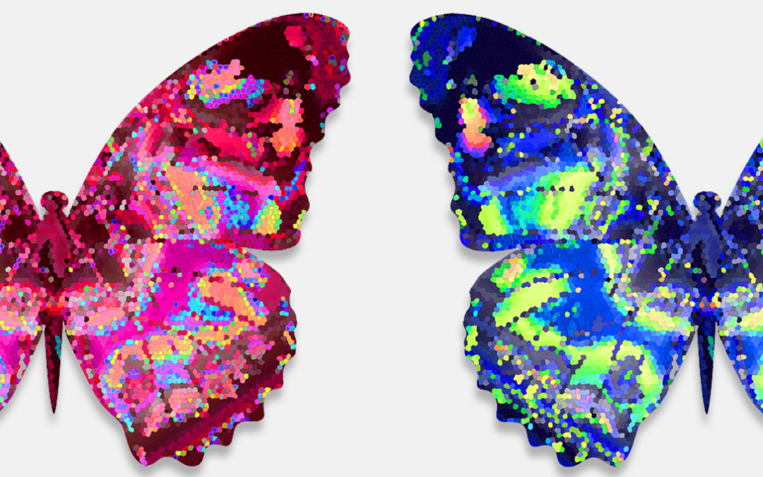 Puiduklaster aitab noortel luua oma unistuste töökohta