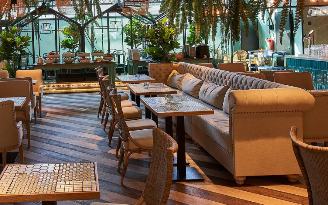 Softest – nullist sajani